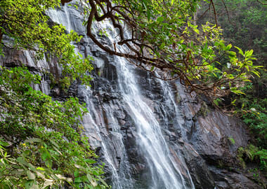 Pachmarhi Holiday Tour Packages | call 9899567825 Avail 50% Off